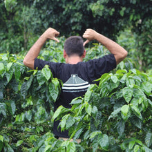 Dark Temple - Ground, Dark French Roast, Certified Organic OCIA/ Fairtrade Coffee 80g