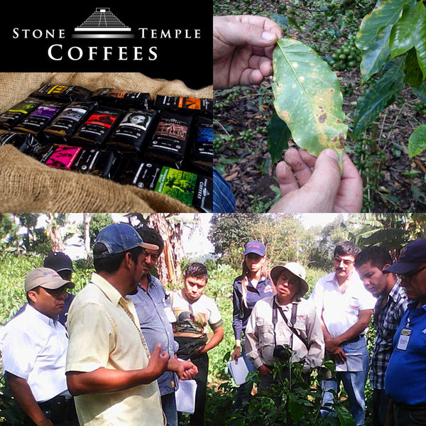 Stone Temple Coffee Company's Coffee Leaf Rust Mission