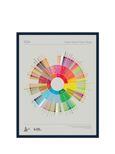 SCA The Coffee Taster's Flavour Wheel Poster