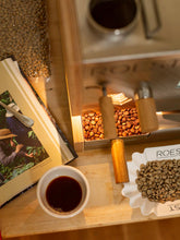 ROEST S100 Coffee Roaster (120V)
