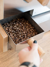 ROEST S100 Coffee Roaster (120V)