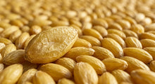 Annanda Alpiste® | Food Grade Canary Seed