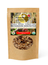 Organic Chaga, Reishi, Turkey Tail Mushroom ImmuniTea - Cinnamon Ginger