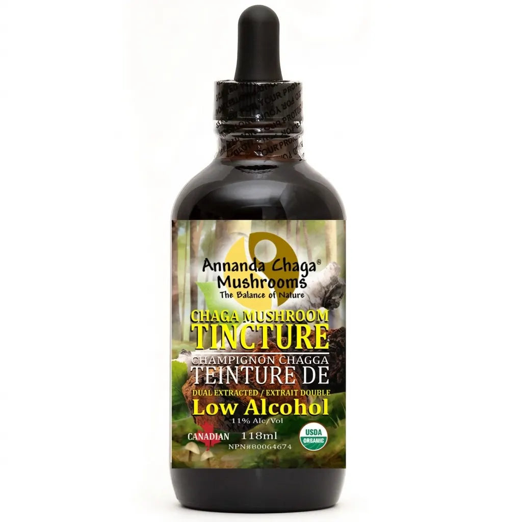 Wild Canadian Chaga Tincture