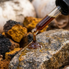Wild Canadian Chaga Tincture