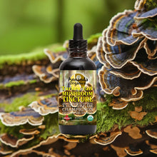 Organic Turkey Tail Tincture