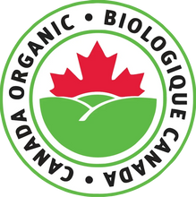 Wild Canadian Chaga Mushroom Chunks — Traditional Cut