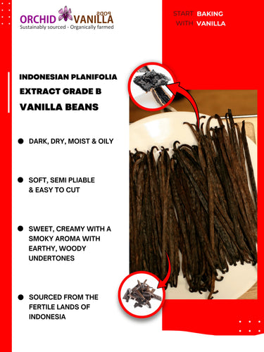 Vanilla beans with text on a red and white background