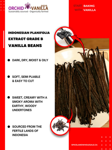 Vanilla beans with text on a red and white background