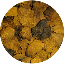 Wild Canadian Chaga Mushroom Chunks — Traditional Cut