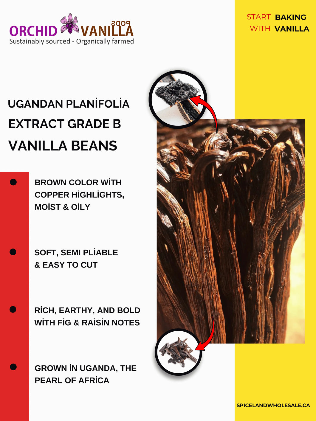 Ugandan Extract Vanilla Beans Grade-B <br>For Extract Making<BR>By Count