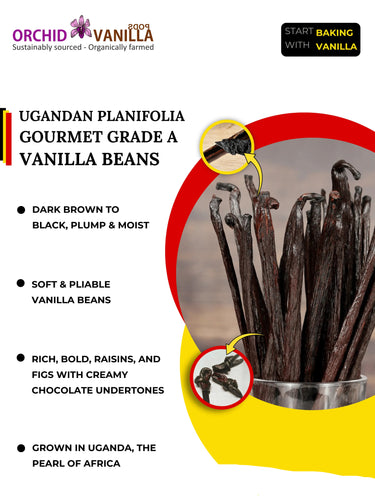 Advertisement for Ugandan Planifolia vanilla beans with text and branding details.