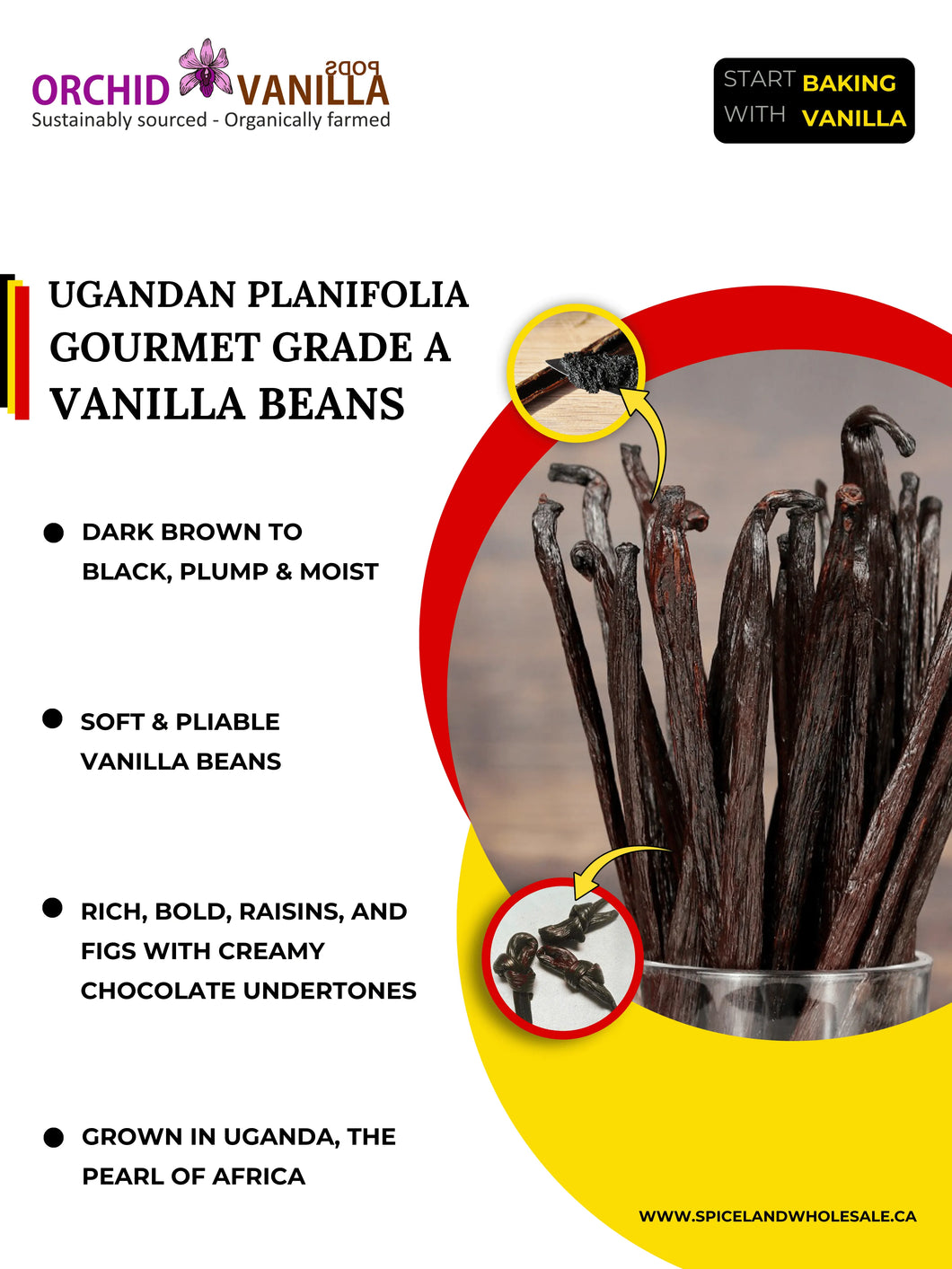 Ugandan Vanilla Beans Grade-A Gourmet <br>For Extract And Baking<BR>By Count