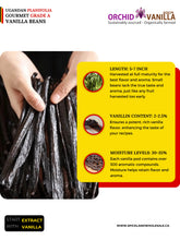 Ugandan Vanilla Beans Grade-A Gourmet <br>For Extract And Baking<BR>By Count