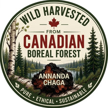 Chaga Skin Cream with Real Silk Amino Acids