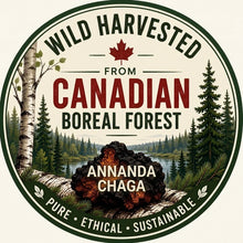 Wild Canadian Chaga Mushroom Chunks — Traditional Cut