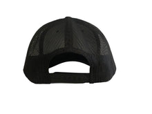 A black Stone Temple Coffees ball cap with a white stitched logo patch on the front. Backside view