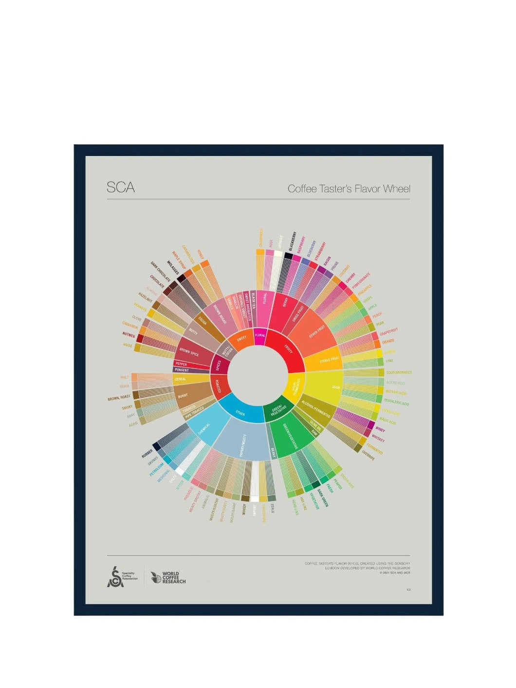 Framed poster of a coffee taster's flavor wheel with colorful gradations on a white background.