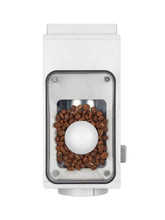 FELLOW Ode Brew Grinder (Gen 2.0) (120V)
