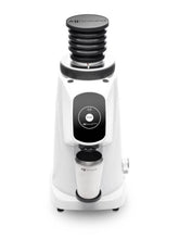 FIORENZATO AllGround ProBrew Coffee Grinder (120V)