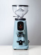 FIORENZATO AllGround Coffee Grinder (120V)