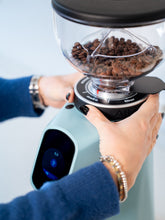 FIORENZATO AllGround Coffee Grinder (120V)
