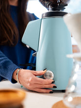 FIORENZATO AllGround Coffee Grinder (120V)