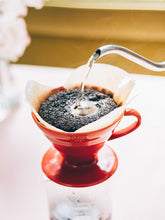 HARIO V60-02 Dripper (Ceramic)
