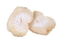 Organic Lion's Mane Mushroom Powder