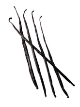 Madagascar Bourbon Extract Vanilla Beans Grade-B <br>For Extract Making<BR>By Count