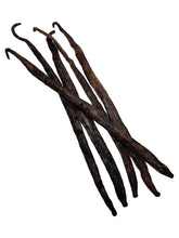 Ugandan Extract Vanilla Beans Grade-B <br>For Extract Making<BR>By Count